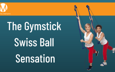 The Gymstick Swiss Ball Sensation